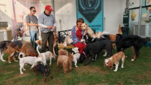 dogs daycare in RIYADH