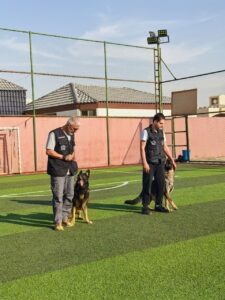 dog training in riyadh